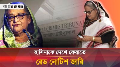 রেড নোটিশ জারি করে কি হাসিনাকে দেশে ফেরানো সম্ভব?