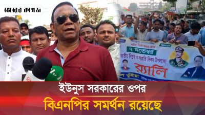 'ইউনুস সরকারের ওপর বিএনপির সমর্থন রয়েছে'