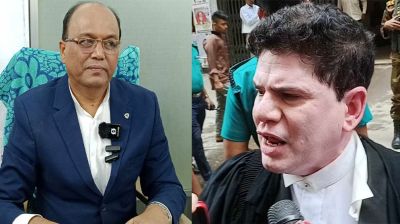 আমুর আইনজীবীকে মারধর, যা বললেন পিপি ফারুকী