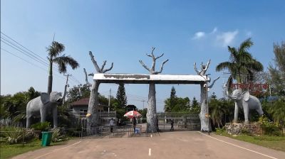 নতুন নামে ৩ মাস পর খুললো গাজীপুর সাফারি পার্ক
