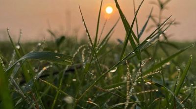 শীতের সকালের বাতাস কি স্বাস্থ্যকর?
