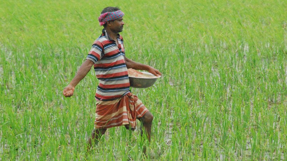 সারের ভর্তুকি থেকে ৩ হাজার কোটি টাকা সাশ্রয়ের পরিকল্পনা