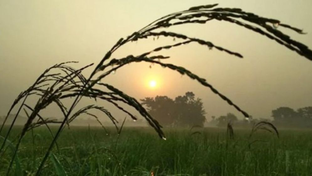 সারাদেশে দিন ও রাতের তাপমাত্রা যেমন থাকবে