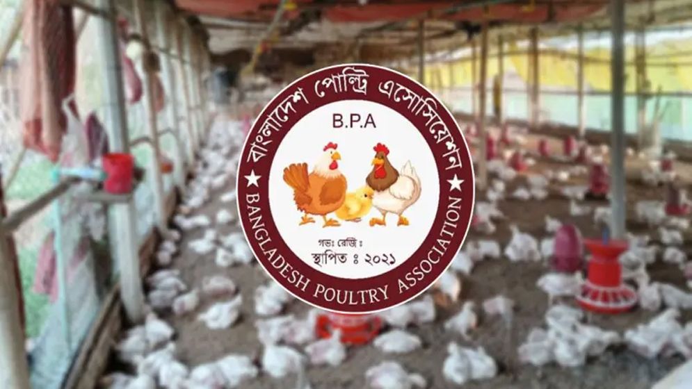 মুরগির বাচ্চায় ৭২০ কোটি টাকা লুটপাট: বিপিএ