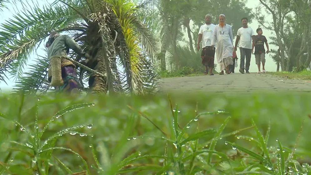 আগামী ৩ দিন কেমন শীত পড়বে, জানাল আবহাওয়া অফিস