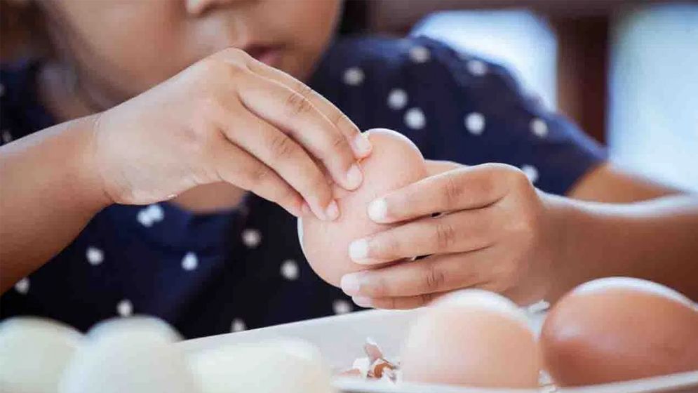 ডিম খেলে কি শিশুর উচ্চতা বাড়ে?
