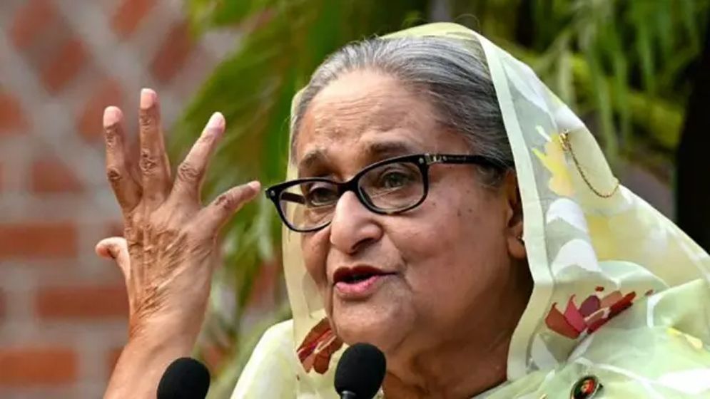 শেখ হাসিনা ভারতের ডিম পাড়া হাঁস