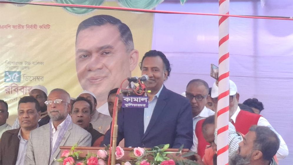 দেশকে লুটেপুটে খেয়ে ভারতে গিয়ে ষড়যন্ত্র করছে: হাবিব উন নবী