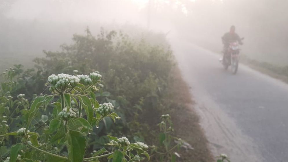 শীতে কাঁপছে পঞ্চগড়, রাত যেন বরফ শীতল