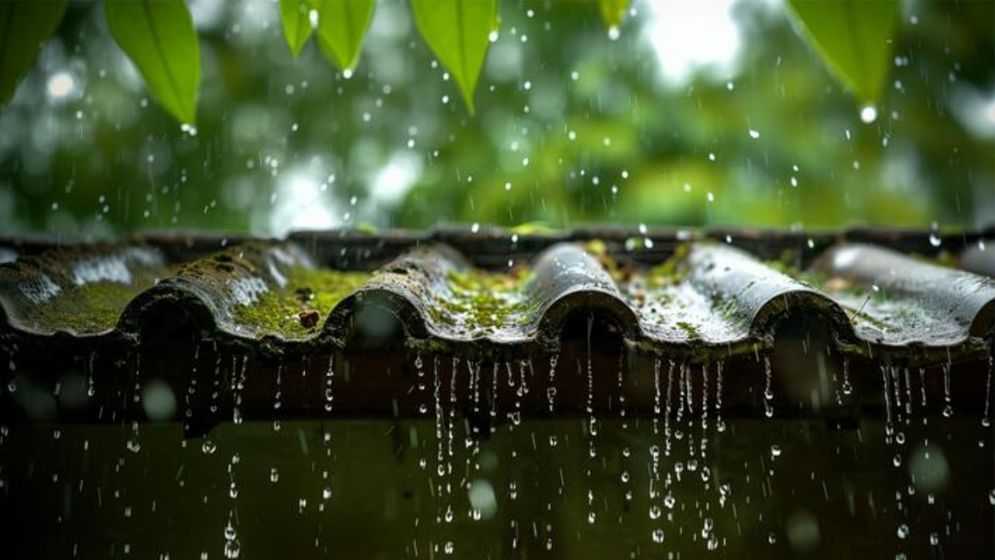 ৪ বিভাগে বৃষ্টির আভাস, কমবে রাতের তাপমাত্রা