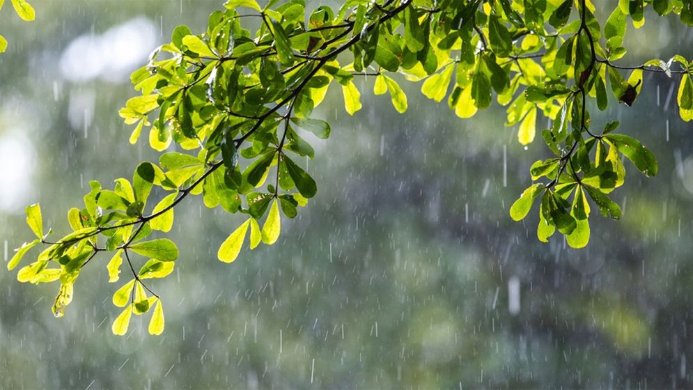 দেশের তিন বিভাগে বৃষ্টির আভাস