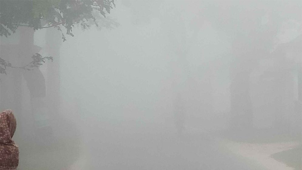 ঘন কুয়াশার চাদরে ঢাকা দিনাজপুরে জনপদ 