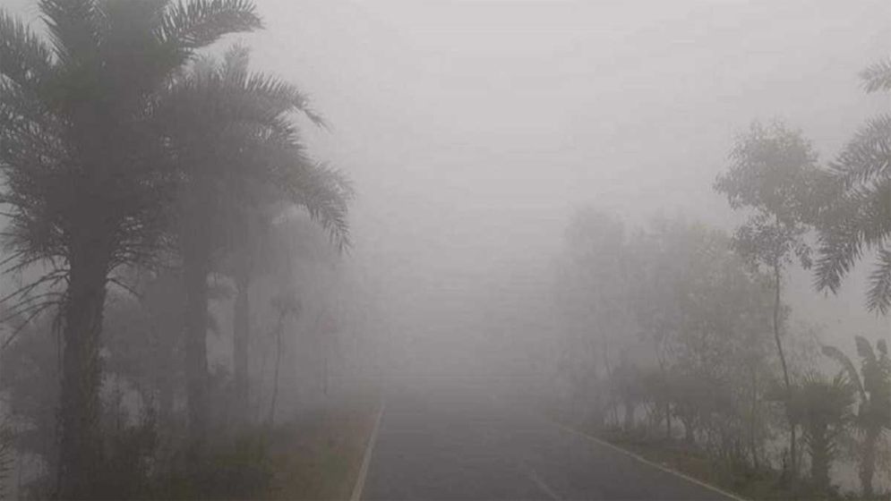 কাঁপছে চুয়াডাঙ্গা, তাপমাত্রা ৮ ডিগ্রির ঘরে