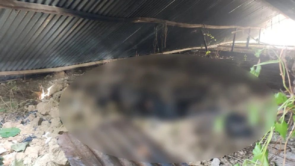 ব্রাহ্মণবাড়িয়াতে নারীকে গলা কেটে হত্যা, পুড়িয়ে দেয়া হলো লাশ