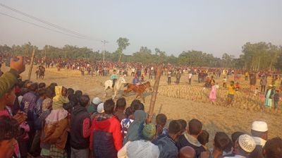 বোদায় ঐতিহ্যবাহী ঘোড়া দৌড় প্রতিযোগিতা দেখতে হাজারো মানুষের ঢল