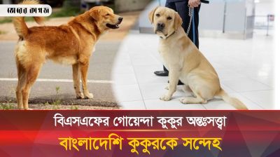বিএসএফের গোয়েন্দা কুকুর অন্তঃসত্ত্বা, বাংলাদেশি কুকুরকে সন্দেহ