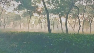 দেশের সর্বনিম্ন তাপমাত্রা শ্রীমঙ্গলে
