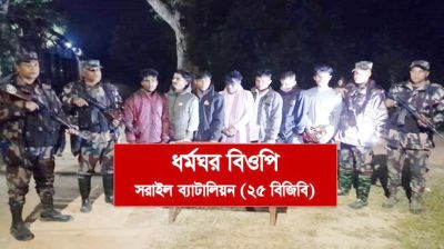 ভারতে প্রবেশের সময় আটক ৭