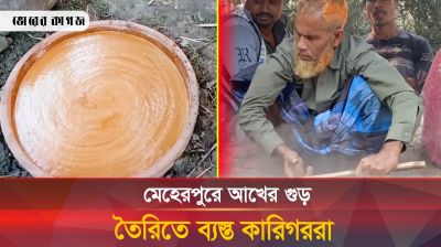 আখের গুড় তৈরিতে ব্যস্ত সময় পার করছে মেহেরপুরের চাষিরা