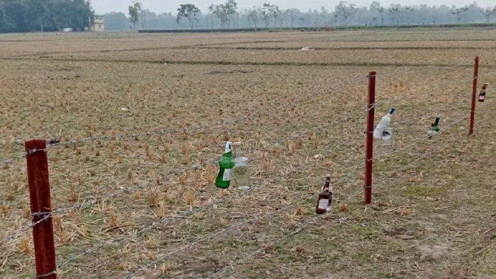 সীমান্তে কাঁটাতারের বেড়ায় কাচের বোতল কেন ঝুলিয়েছে বিএসএফ?