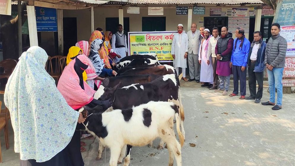 গাভীর বাছুর বিতরণের ফটোসেশন, প্রকল্পের অর্থ আত্মসাতের অপচেষ্টা