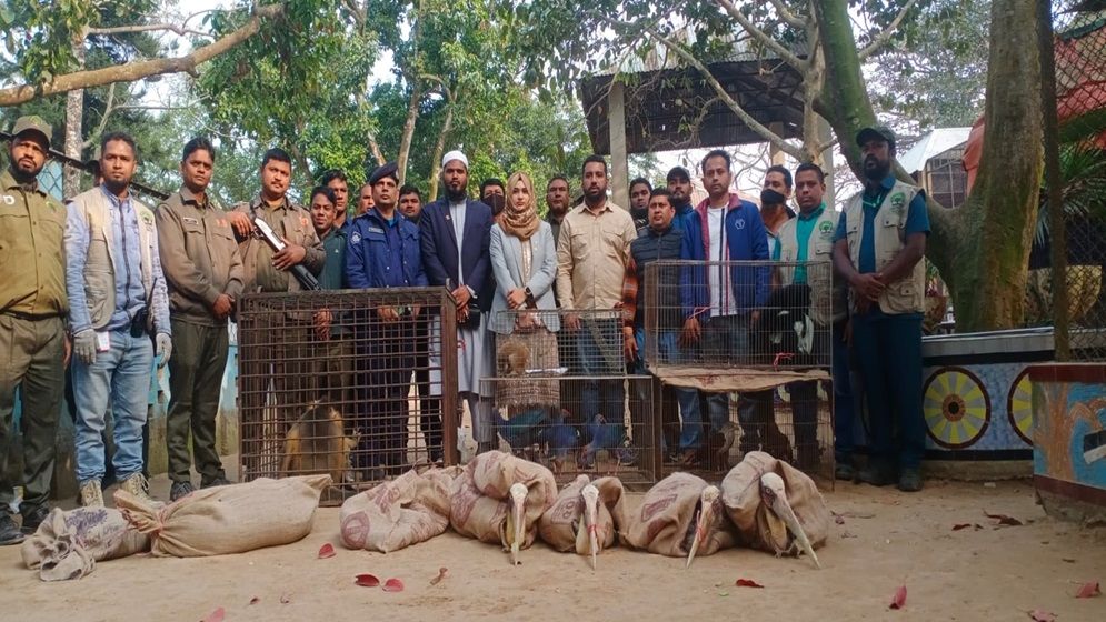 দিনাজপুরের স্বপ্নপুরী পার্কে বন বিভাগের অভিযান, ৭৪ বন্যপ্রাণী উদ্ধার