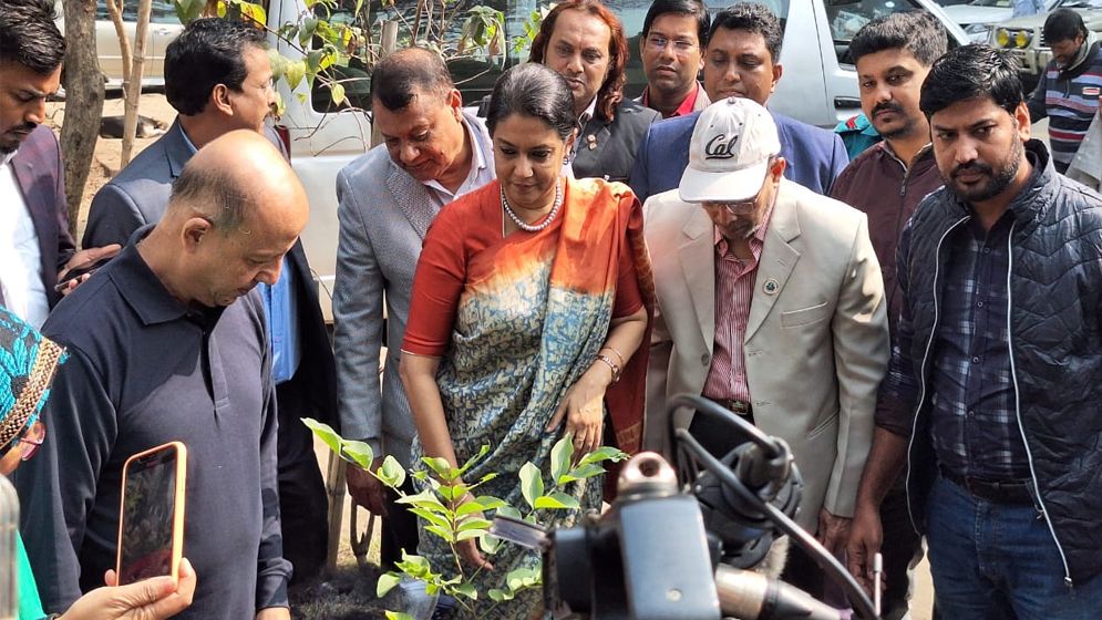 বিষমুক্ত নিরাপদ খাদ্যের জন্য ছাদ বাগান প্রয়োজন: পরিবেশ উপদেষ্টা