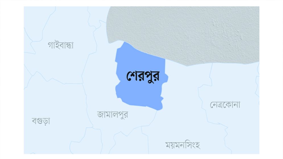 বোনকে হত্যার অভিযোগে বড় ভাই গ্রেপ্তার