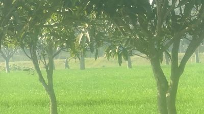 চাঁপাইনবাবগঞ্জ সীমান্তে সতর্ক অবস্থানে বিজিবি, পরিস্থিতি শান্ত