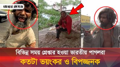 পদ্মা সেতুসহ বিভিন্ন মেগা প্রকল্পের কাছে গ্রেপ্তার হওয়া ভারতীয় পাগলরা এখন কোথায়?