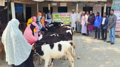 গাভীর বাছুর বিতরণের ফটোসেশন, প্রকল্পের অর্থ আত্মসাতের অপচেষ্টা