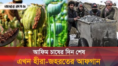 হীরা-জহরত আর চুনি-পান্নায় ঘুরে দাঁড়াচ্ছে আফগান অর্থনীতি
