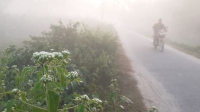 দেখা নেই সূর্যের, শীতে বিপর্যস্ত দিনাজপুরের জনজীবন