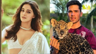 শীঘ্রই বিয়ে করছেন অনন্যা পাণ্ডে, পাত্র আম্বানির কর্মচারী!