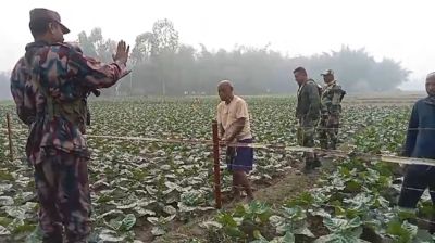 এবার সেই কাঁটাতারের বেড়ায় বাঁশ বাঁধলো ভারতীয়রা, ভিডিও ভাইরাল