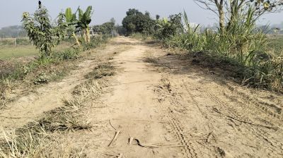 মেঘনায় দেড় দশকেও রাস্তা সংস্কার হয়নি