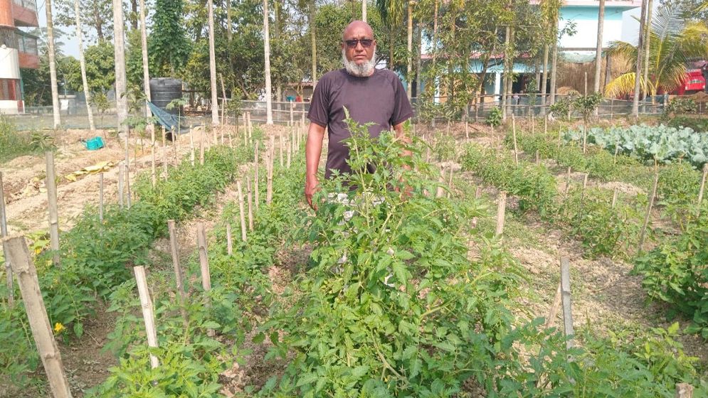 বিশ্বনাথে ব্যবসায়ী থেকে সবজি চাষে সফল কৃষক