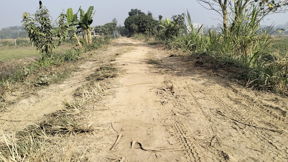 মেঘনায় দেড় দশকেও রাস্তা সংস্কার হয়নি