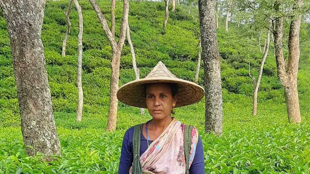 ফের ‘শ্রেষ্ঠ চা পাতা চয়নকারী’র পুরস্কার পেলেন ফটিকছড়ির জেসমিন 