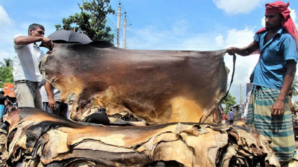 কোরবানির পশুর চামড়ার দাম বাড়লো
