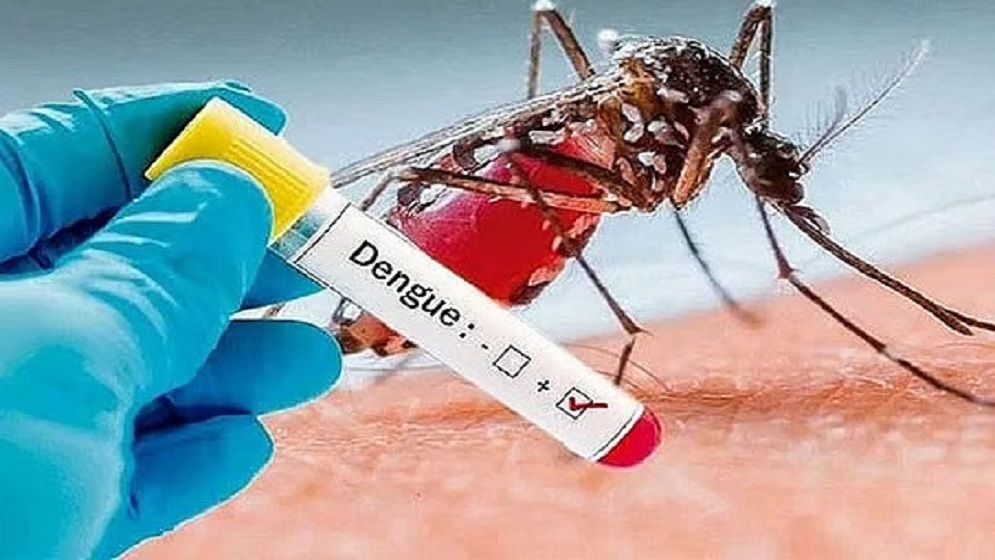 ডেঙ্গুতে একজনের মৃত্যু, হাসপাতালে ৪০৬