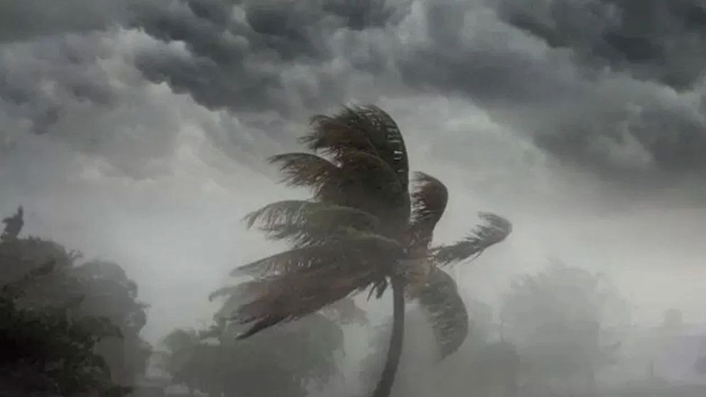 ৭ জেলায় ৬০ কিলোমিটার বেগে ঝড়ের শঙ্কা