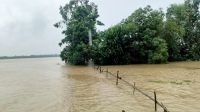 ফেনীতে বন্যা পরিস্থিতির অবনতি: নতুন নতুন এলাকা প্লাবিত