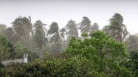 দুপুরের মধ্যে সাত অঞ্চলে ঝড়ের আশঙ্কা