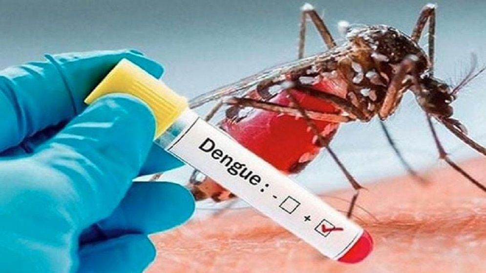 ডেঙ্গুতে আরও ৩ জনের মৃত্যু, হাসপাতালে ভর্তি ৪১২