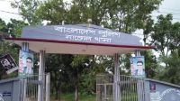 চার্জার ভ্যানে বিদ্যুৎস্পৃষ্ট হয়ে মা-মেয়ের মর্মান্তিক মৃত্যু