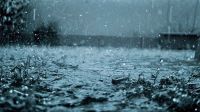 দেশের আট বিভাগে বৃষ্টির সম্ভাবনা