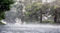 ঝড়সহ বৃষ্টির শঙ্কা, নদীবন্দরে সতর্ক সংকেত