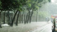 ৭ জেলায় ঝড়সহ বৃষ্টির পূর্বাভাস