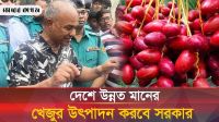 আগামী বছর থেকে চাষীর কাছ থেকে ন্যায্যমূল্যে আলু কিনবে সরকার